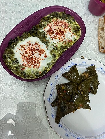 Tupperware Mikro Lezzet ve - Görsel 9