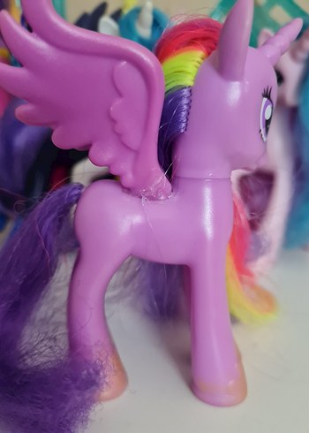  Beden Twilight pony