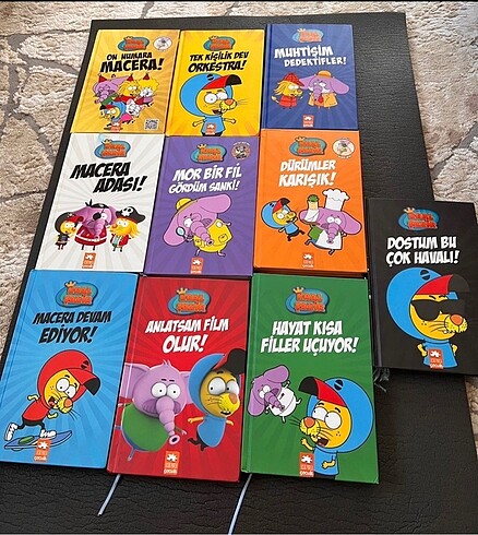 Kral Şakir kitap