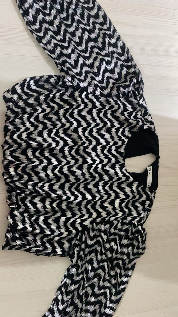 Zebra Desenli Pliseli Uzun Kollu Bluz - Görsel 4