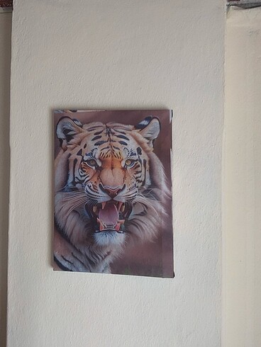 Aslan tablo