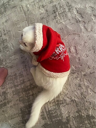 Kedi köpek kıyafet - Görsel 2