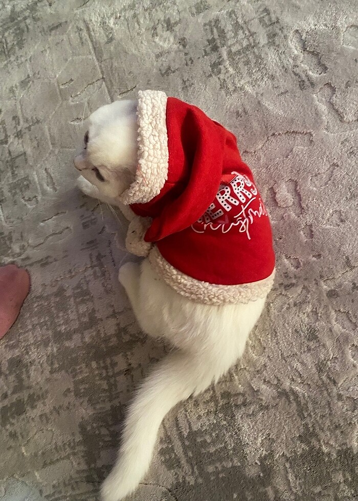 Kedi köpek kıyafet - Görsel 2