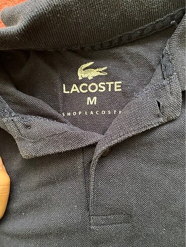 POLO YAKA T-SHİRT - Görsel 2