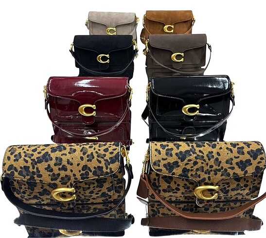  Beden Coach