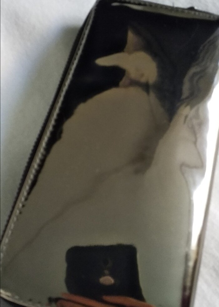 El cüzdanı - Görsel 3