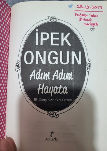 Beden Renk Bir Genç Kız Gizli Defteri Serisi - 10 Kitap