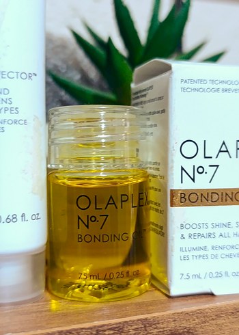 OLAPLEX No.3 Saç Onarıcı ve No.7 Bağlantı Yağı - Görsel 2