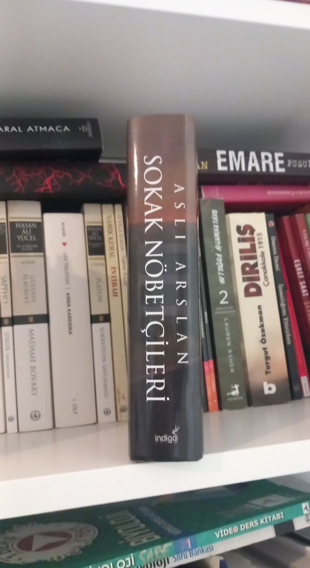 Sokak Nöbetçileri III - Aslı Arslan - Görsel 3