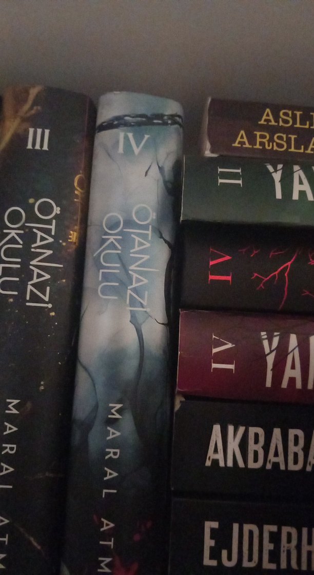 ötenazi okulu - Görsel 2