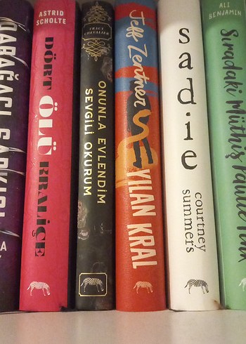 Çeşitli Roman Kitapları - Görsel 2