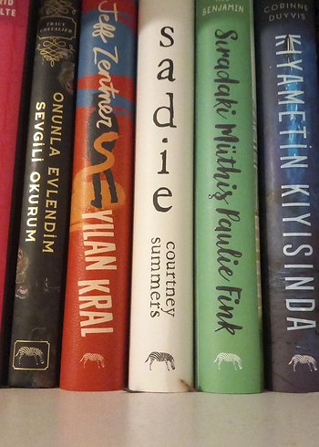 Çeşitli Roman Kitapları - Görsel 4