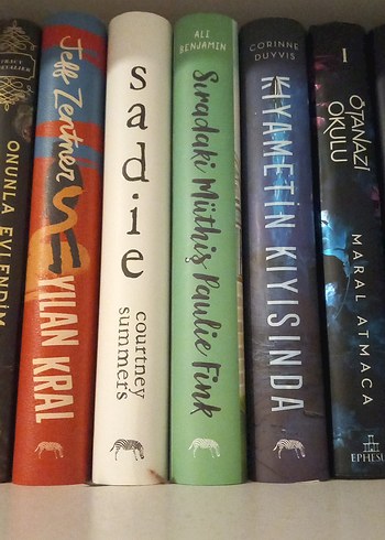 Çeşitli Roman Kitapları - Görsel 3