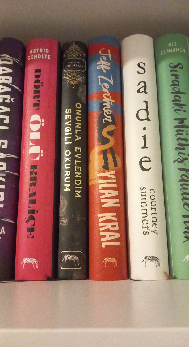 Çeşitli Roman Kitapları - Görsel 2