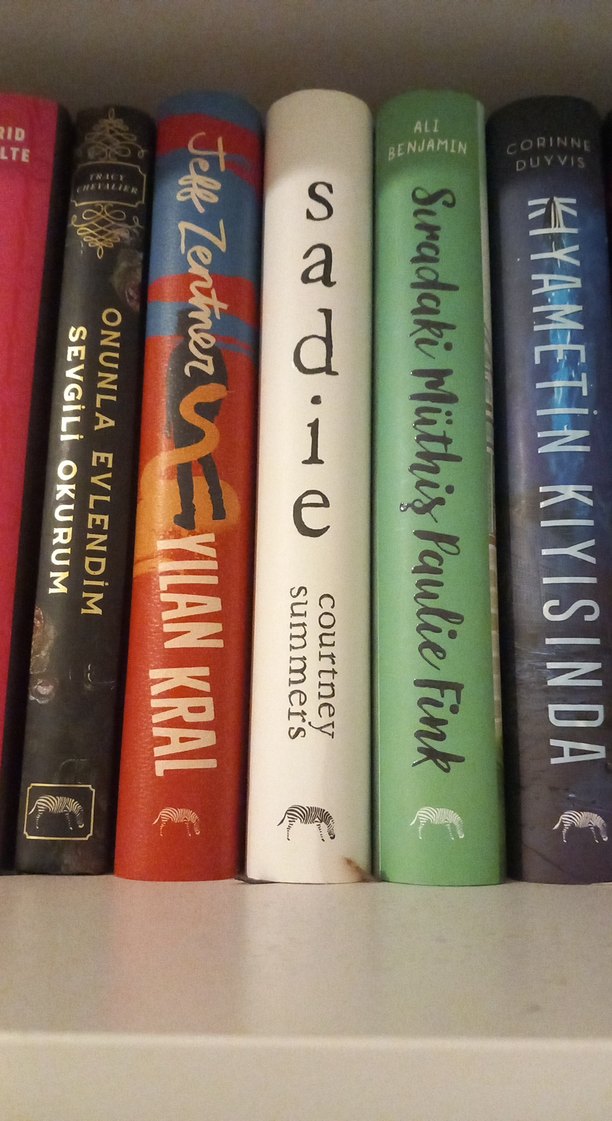 Çeşitli Roman Kitapları - Görsel 4