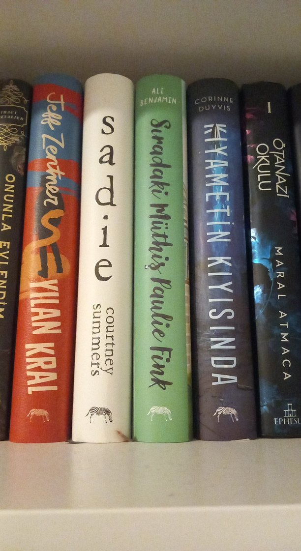 Çeşitli Roman Kitapları - Görsel 3