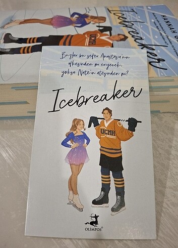  Beden Icebreaker