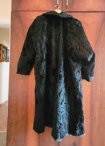 Hakiki vizon kurk