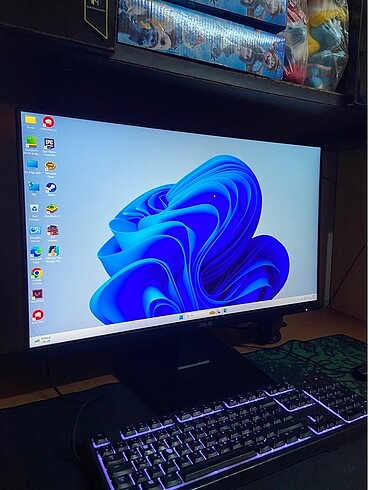 Asus Monitör