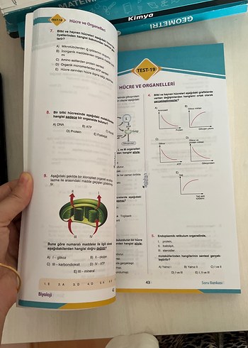 Beden TYT AYT Biyoloji Soru Asistanı Kitabı