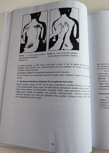 Beden Renk Klasik ve Konnektif Doku Masajı Ders Notları