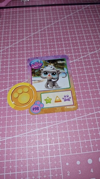  Miniş