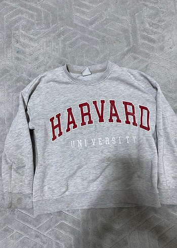 Gri Harvard Baskılı Uzun Kollu Sweatshirt