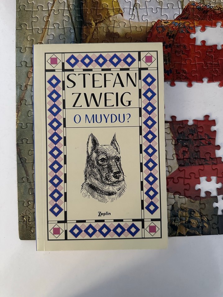 Stefan Zweig Kitap Seti - Satranç ve Diğerleri - Görsel 5