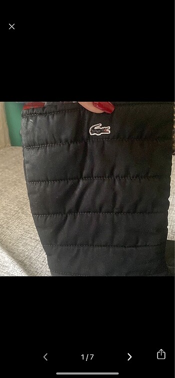 Lacoste bot