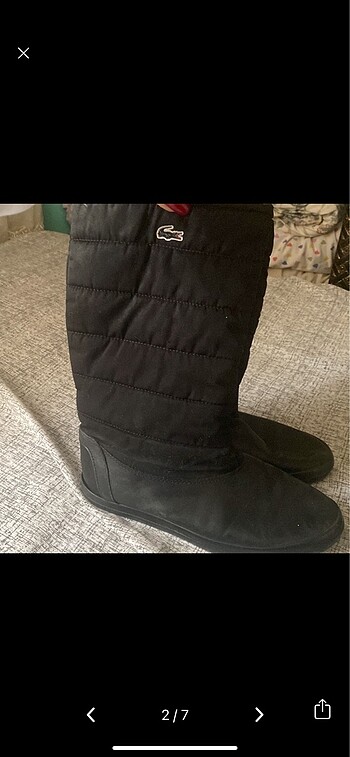 38 Beden Lacoste bot