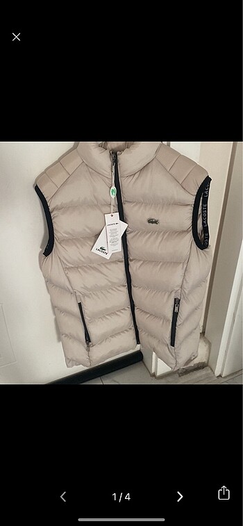 Lacoste orjinal