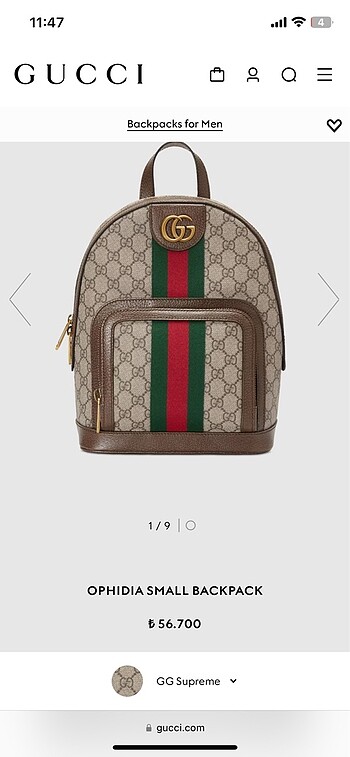 Gucci çanta