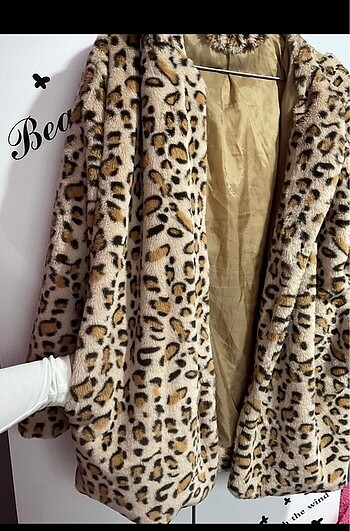 Leopar kaban