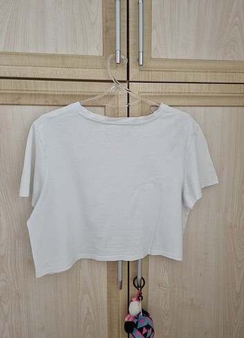 Diğer crop model