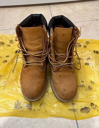 Timberland bot