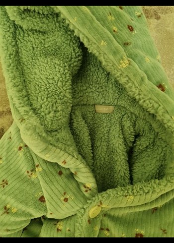 astronot - Görsel 2