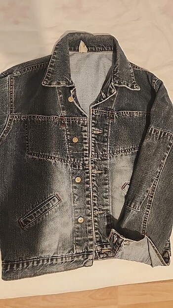 Dolce & Gabbana KOT CEKET