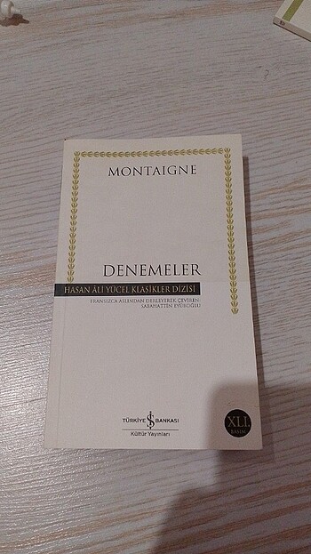 Montaigne DENEMELER
