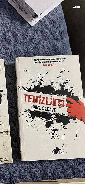 Temizlikçi Paul Cleave