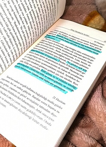  Genç Werther'in Acıları 