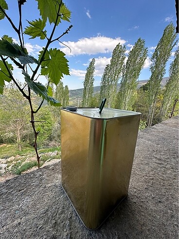 Zeytinyağı (10 L)