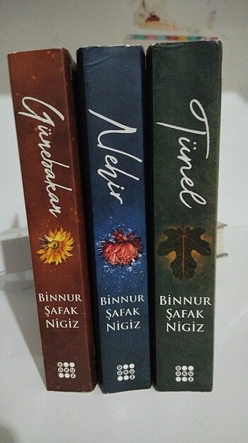 İs Serisi Tünel- Nehir- Günebakan- Binnur Şafak Nigiz (Dokuz Yay