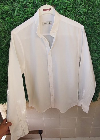 Lacoste L beden Beyaz Pamuklu Erkek Gömlek
