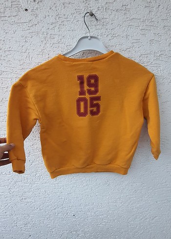 Sarı Erkek Çocuk Sweatshirt 1905 Baskılı - Görsel 4
