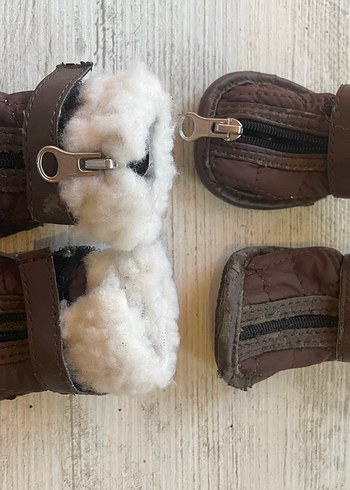 Kahverengi Kürklü Köpek Botları