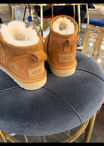 Ugg bot