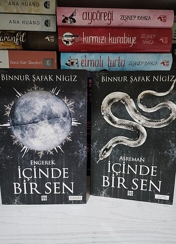 İçinde Bir sen (1 ve 2)