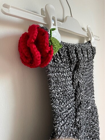 EVCİL HAYVAN KAZAĞI - Görsel 2