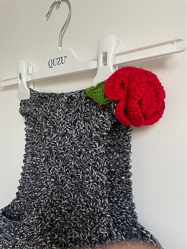 EVCİL HAYVAN KAZAĞI - Görsel 6