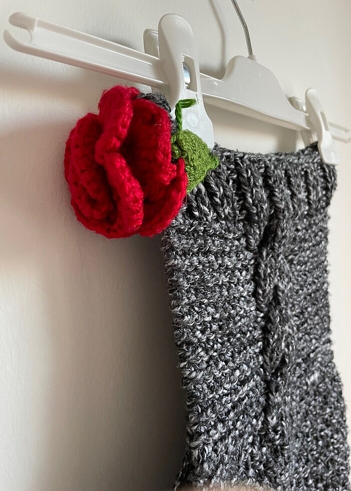 EVCİL HAYVAN KAZAĞI - Görsel 2